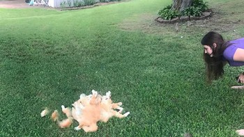 Kucingnya berhamburan nih. (Foto: sadanduseless)