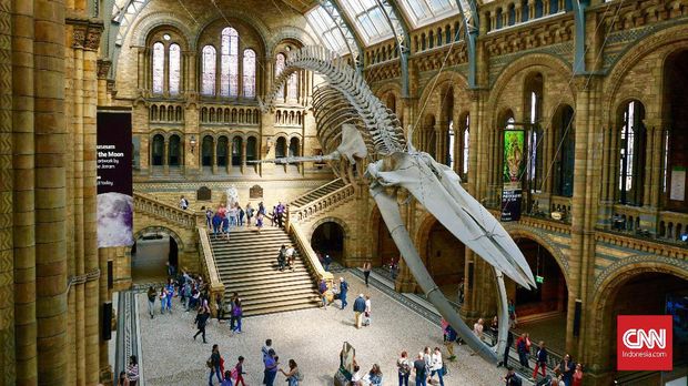 Belajar Soal Nyamuk sampai T-Rex di Natural History Museum