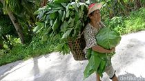Dear Pak Jokowi, Ini Suara Hati Masyarakat Miangas Dear Pak Jokowi, Ini Suara Hati Masyarakat Miangas