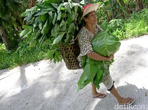 Dear Pak Jokowi, Ini Suara Hati Masyarakat Miangas
