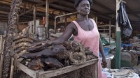 Bukan sapi atau ayam, para penjual di pasar daging ini, biasanya menjual aneka hewan liar. Seperti daging monyet, tikus, hingga kelelawar. Foto: Istimewa