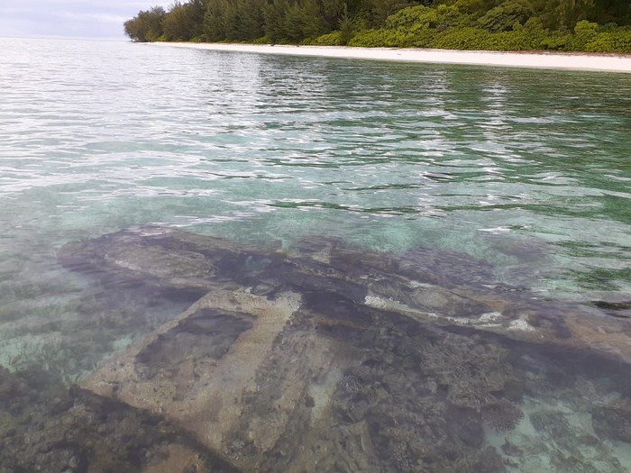 Foto: Bangkai Pesawat Pasukan Kamikaze Jepang di Papua