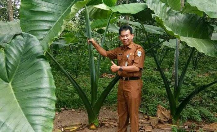 Foto: Dok Kementan Foto: Dok Kementan