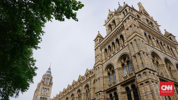 Belajar Soal Nyamuk sampai T-Rex di Natural History Museum