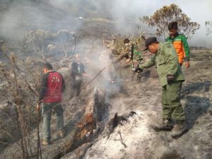 Update Terbaru Kebakaran Hutan Gunung Semeru