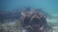 Baru-baru ini, penelitian arkeologi di Pulau Rouw, Kepulauan Auri, Distrik Roon, Kabupaten Teluk Wondama, Provinsi Papua Barat, berhasil menemukan empat pesawat Jepang peninggalan Perang Pasifik (Hari Suroto/Balai Arkeologi Papua/Istimewa)