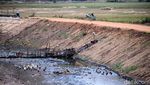 Kasihan! Sungai Citarik Mengering, Petani Gagal Panen