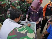 Puji Syukur! Kebakaran Hutan Semeru Mulai Padam