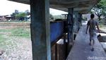Kasihan! Sungai Citarik Mengering, Petani Gagal Panen