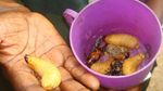 Mengintip Isi Pasar Makanan di Kongo, Negara Termiskin di Dunia