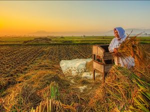 Potret Petani Tangguh