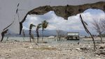 Potret Kota Palu Satu Tahun Pascagempa dan Tsunami