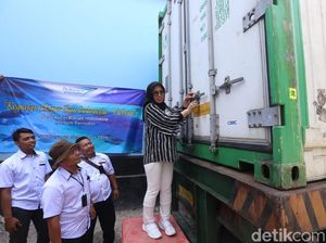 RI Ekspor Ikan Anggoli dan Kerapu Rp 900 Juta ke Vietnam