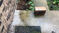 Seorang warga AS menerima paketnya dalam keadaan basah karena sang kurir meninggalkannya di bawah kucuran air hujan. Istimewa/Dok. Boredpanda.