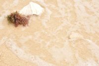 Pantai pasir putih (Maryono/d'Traveler)