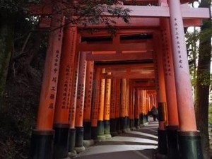 Pohon Bambu di Tempat Terindah Jepang Dicoret-coret Turis