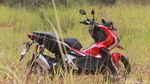 Penampakan Motor Paling Menggoda 2019