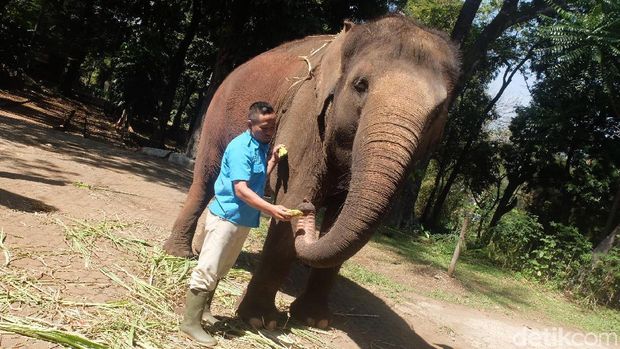 'Monas! Ini Santapanmu...'
