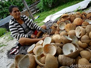Aktivitas Petani Kopra di Pulau Miangas
