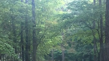 Diletakkan begitu saja jauh di depan rumah. Foto: Bored Panda