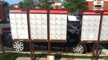 Pemotret foto ini selalu penasaran kenapa banyak paketnya yang hilang. Ternyata kadang ditaruh di dekat jalan. Foto: Bored Panda