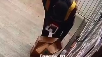 Kalau ini melakukan pencurian. Foto: Bored Panda