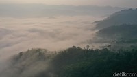Gunung Luhur berada di Desa Citorek Kidul, Lebak, Banten (Didik Dwi H/detikcom)