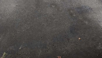 Kurang jauh mas ngirimnya. Foto: Bored Panda