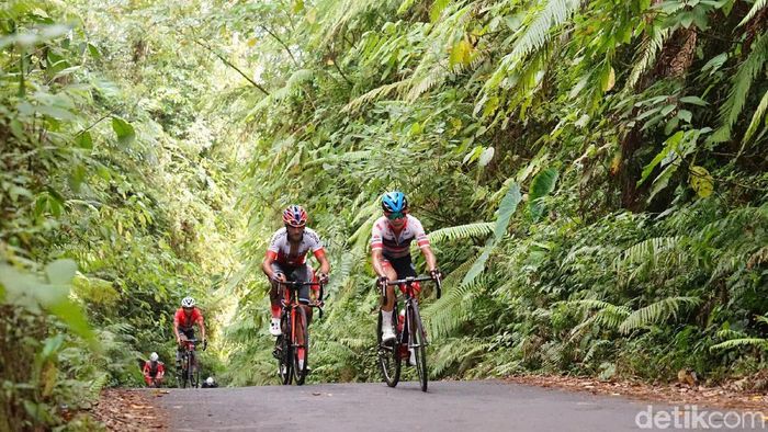 Tour de Banyuwangi Ijen mendapatkan pujian dari juri dan para pebalap. (Foto: Ardian Fanani/detikSport) Tour de Banyuwangi Ijen mendapatkan pujian dari juri dan para pebalap. (Foto: Ardian Fanani/detikSport)