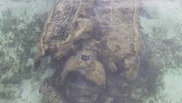 Pesawat ini berada pada kedalaman 1 meter dari permukaan air. Sehingga kalau air surut akan terlihat jelas (Hari Suroto/Balai Arkeologi Papua/Istimewa)