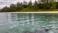 Menurut cerita masyarakat setempat, pilot pesawat Jepang pada saat itu adalah seorang perempuan. Yang mana saat itu, Amerika dan negara-negara Sekutu belum ada pilot perempuan pesawat tempur (Hari Suroto/Balai Arkeologi Papua/Istimewa)