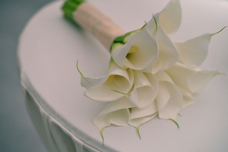 Calla Lily calla, wedding bouquet