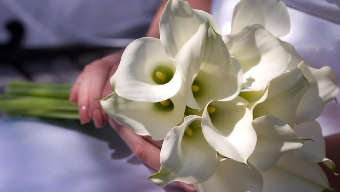 Bride holding a beautiful bouquet of white lilies.