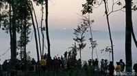 Fenomena panorama Negeri di Atas Awan dapat dilihat dari pukul 05.00-07.00 WIB (Didik Dwi H/detikcom)