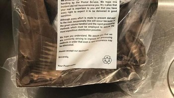 Katanya diperlakukan dengan baik, kok kondisi paket seperti ini? Foto: Bored Panda