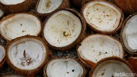 Para petani seolah tidak memiliki pilihan lain mengolah daging kelapa menjadi kopra yang diolah menjadi minyak goreng kelapa.