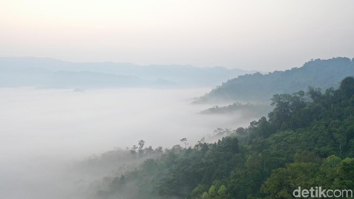Foto Drone Gunung Luhur