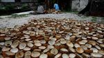 Ironi Petani Kopra di Miangas
