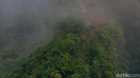 Lewat kamera drone, inilah perbukitan yang diselimut awannya (Didik Dwi H/detikcom)
