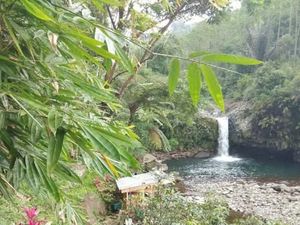 Pesona Curug Bayan di Banyumas, Lokasinya di Pinggir Jalan