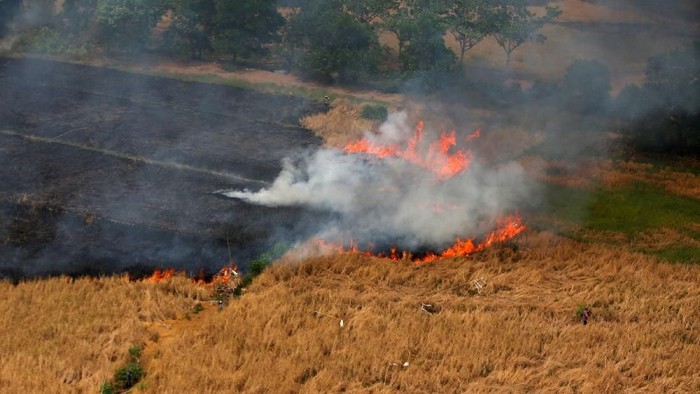 Kebakaran hutan dan lahan yang melanda sejumlah wilayah di Indonesia menarik perhatian dunia. Berbagai upaya terus dilakukan untuk memadamkannya.