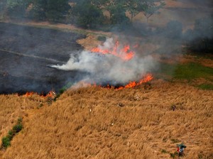Jumlah Hotspot Meningkat, BMKG Imbau Masyarakat Waspada Karhutla