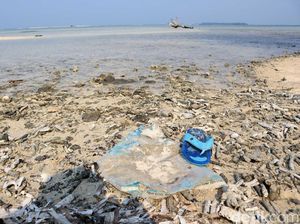 Tentang Rencana Pramono Anung Bikin Wisata Pulau Kucing di Kepulauan Seribu