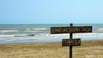 Foto: Pantai di Ibu Kota Baru, Seperti Milik Pribadi