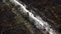 Kebakaran hutan dan lahan (karhutla) yang terjadi di sejumlah wilayah di Indonesia menarik perhatian dunia. Imbas dari karhutla tersebut adalah kabut asap yang dapat membahayakan bagi manusia bila menghirupnya.