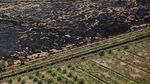 Penampakan dari Udara Sisa Kebakaran Hutan di Kalimantan