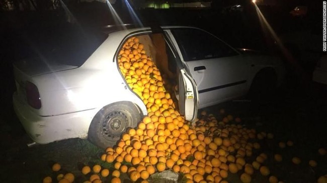 Beda Negara hingga Pakai Mobil, Aksi Pencurian Buah Ini Bikin Heran