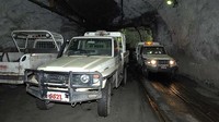 Sementara di Australia, Land Cruiser digunakan untuk mobilitas pekerja tambang tembaga sekitar 1.600 meter di bawah permukaan tanah. Model ini juga digunakan untuk menggembalakan ternak di peternakan sapi seluas 8.000 kilometer persegi. Pool/Toyota.