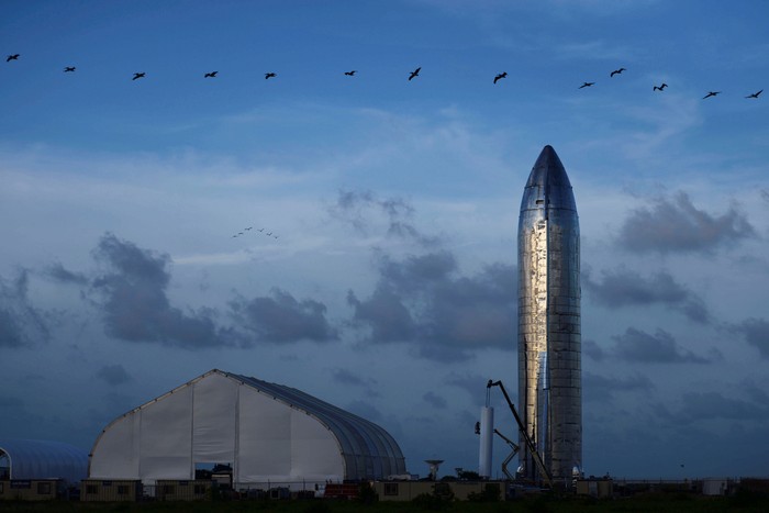 Roket Starship yang akan menuju Mars. Foto: Reuters Roket Starship yang akan menuju Mars. Foto: Reuters