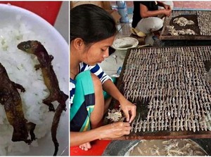 Beda Banget! Rice Bowl Kekinian di Vietnam Ini Pakai Cicak Panggang
